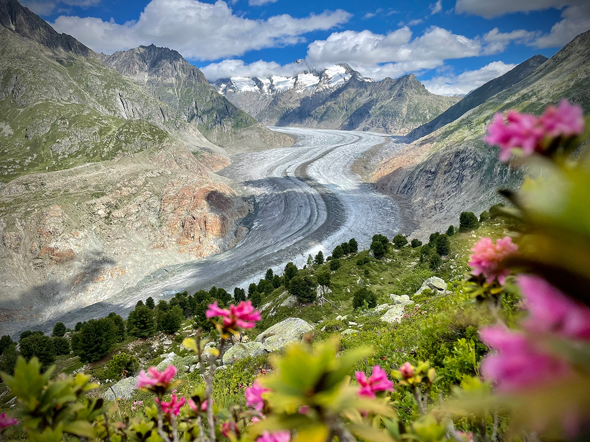 Foto Aletschgletscher