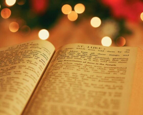 Juan 1:1-14 | Navidad